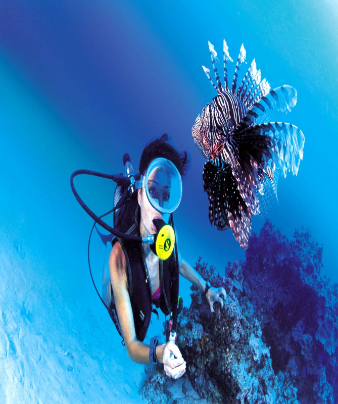 13 Day Sharm Diving & Nile Cruise Tour