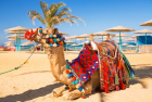 Voyage de noces avec plongée à Hurghada